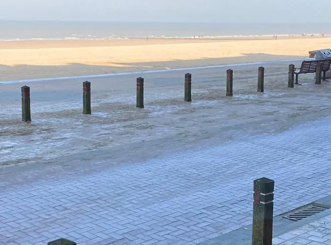 Aan Zee בלנקנברג